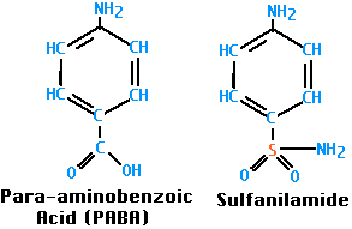 paba en sulfanilamide